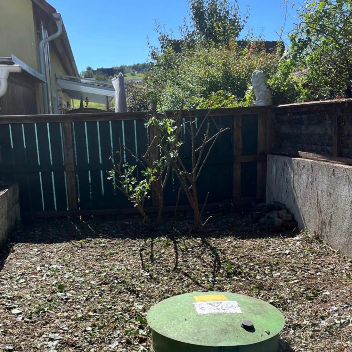 Gepflegter Garten in Graz-Umgebung nach der professionellen Pflege