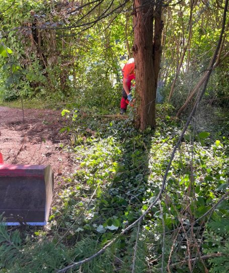 Professionelle Grundstücksreinigung und Rodung eines verwilderten Grundstücks in Graz durch Grünraumpflege Danko Julian