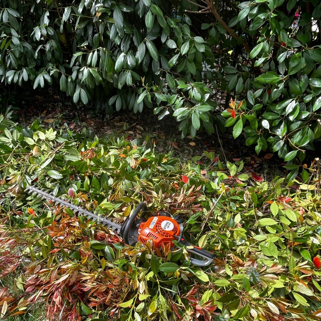 Professionelle Gerätetechnik für einen ordentlichen Heckenschnitt in Hitzendorf